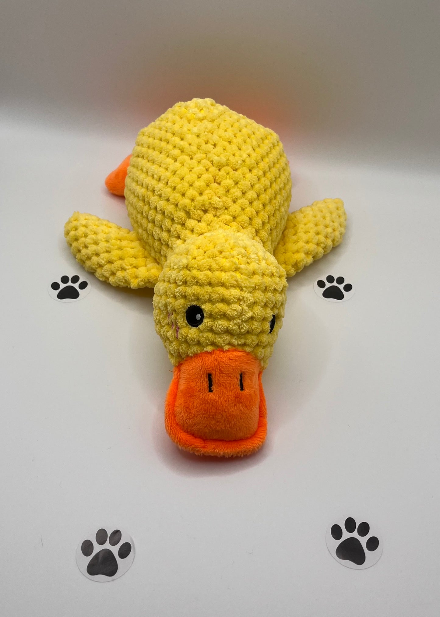 Jouet - Canard