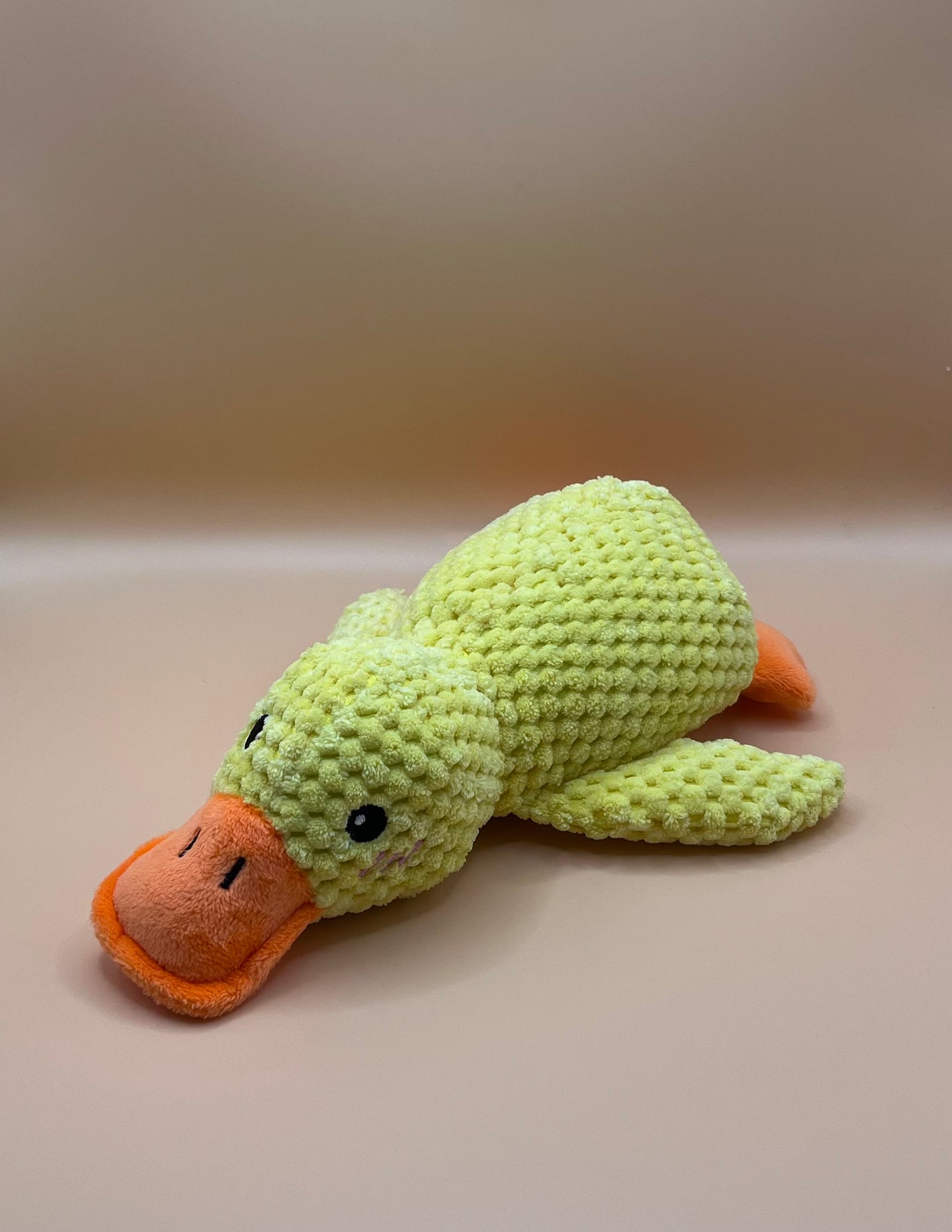 Jouet - Canard