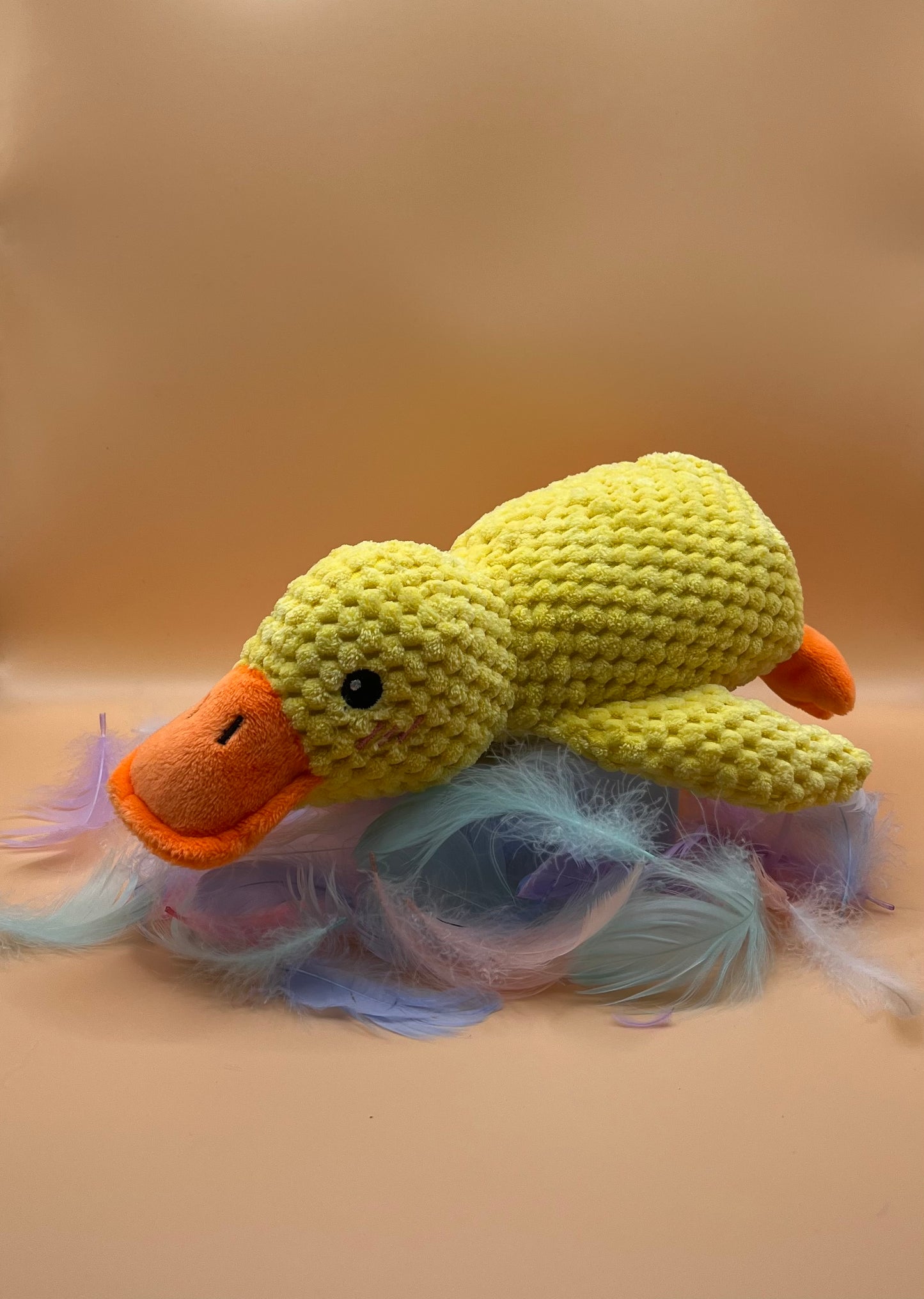 Jouet - Canard