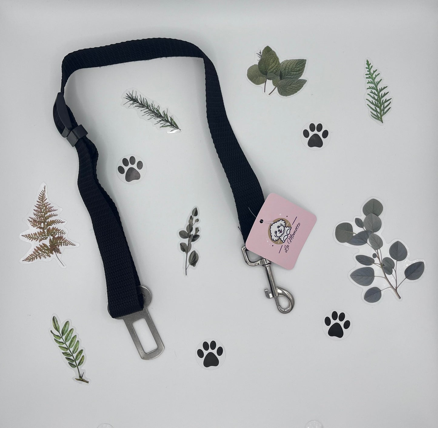 Ceinture de sécurité