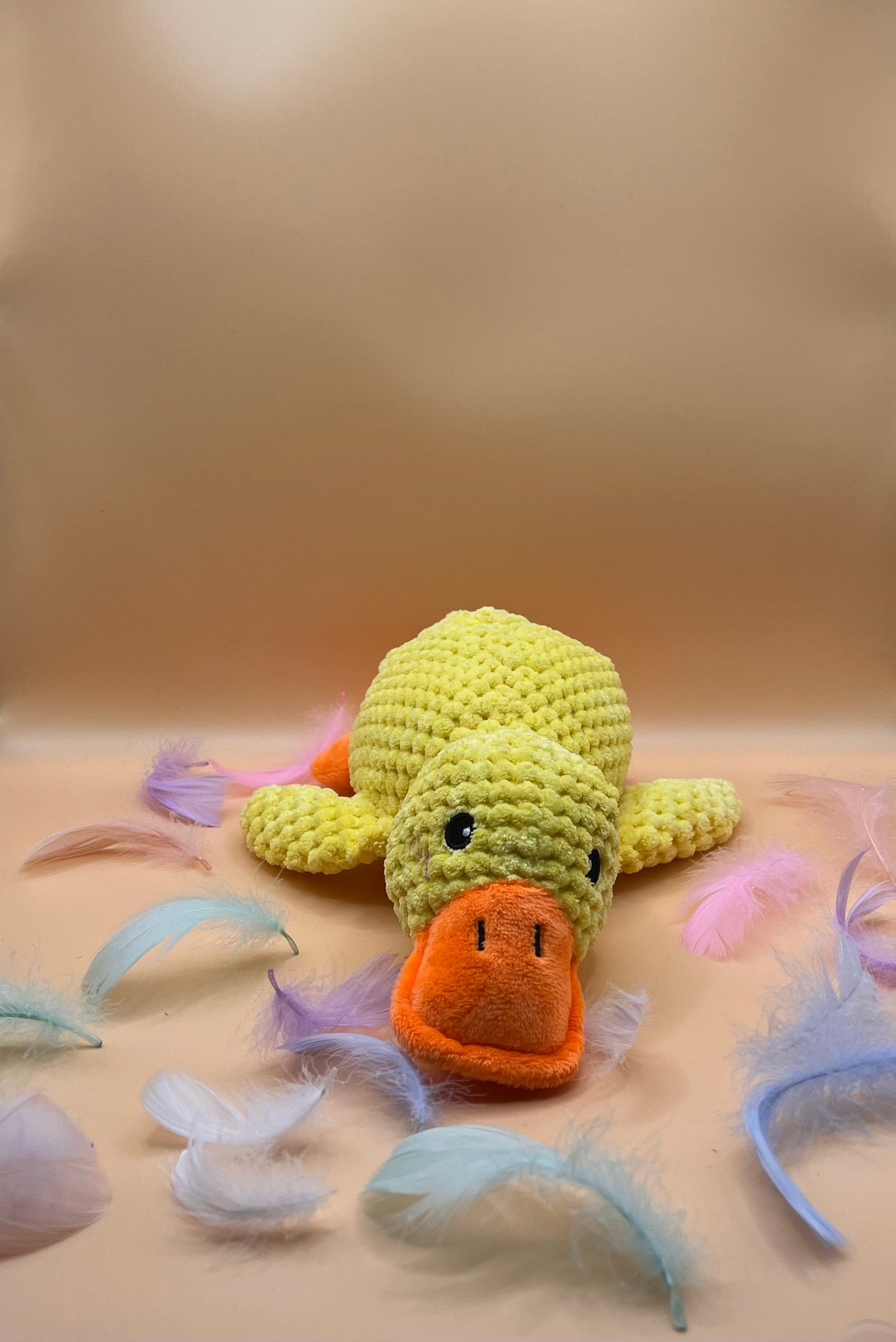 Jouet - Canard