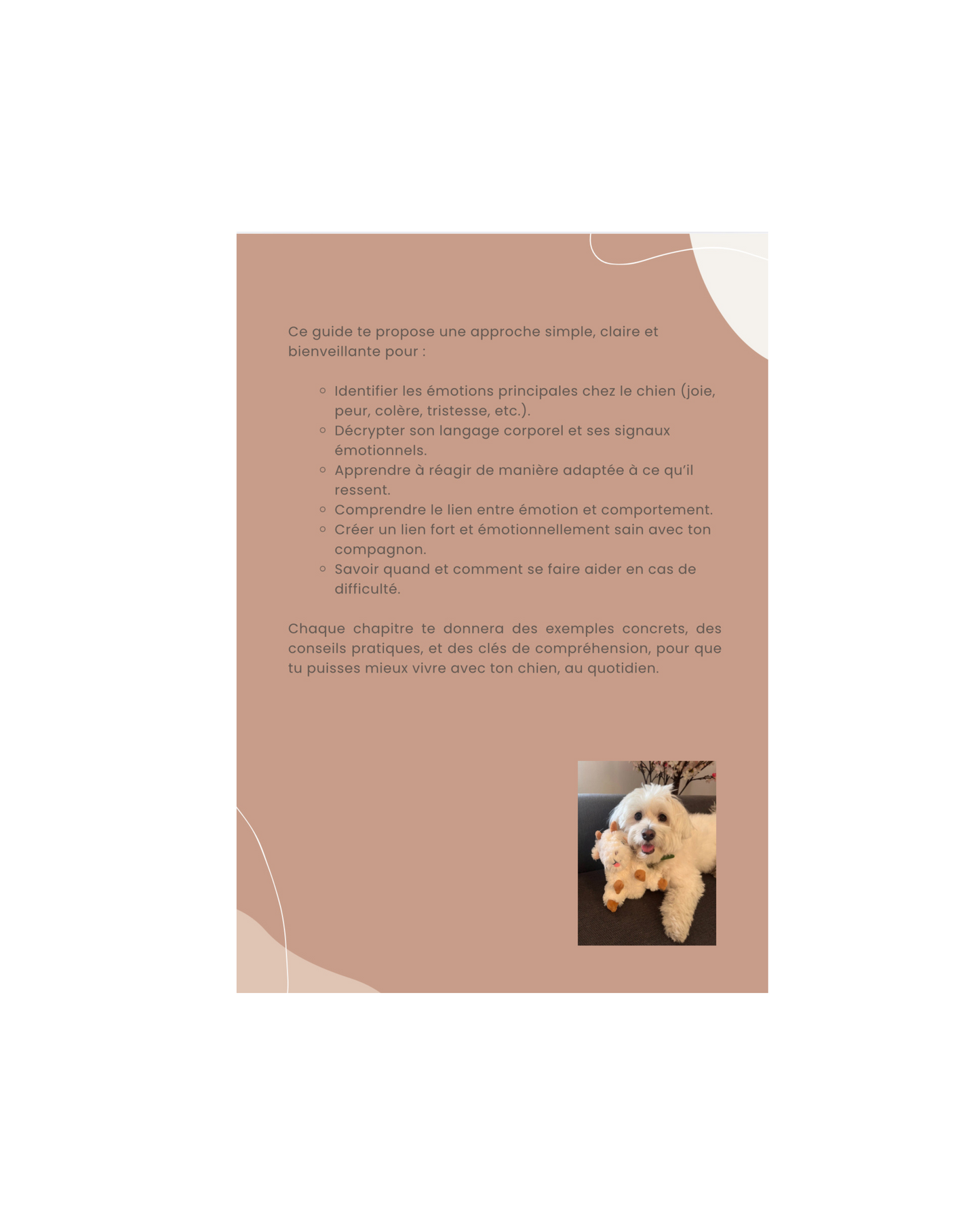 E-book – Dans le cœur de mon chien