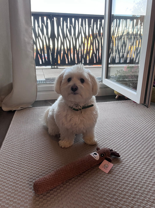 Jouet - Grand Renne de Noël