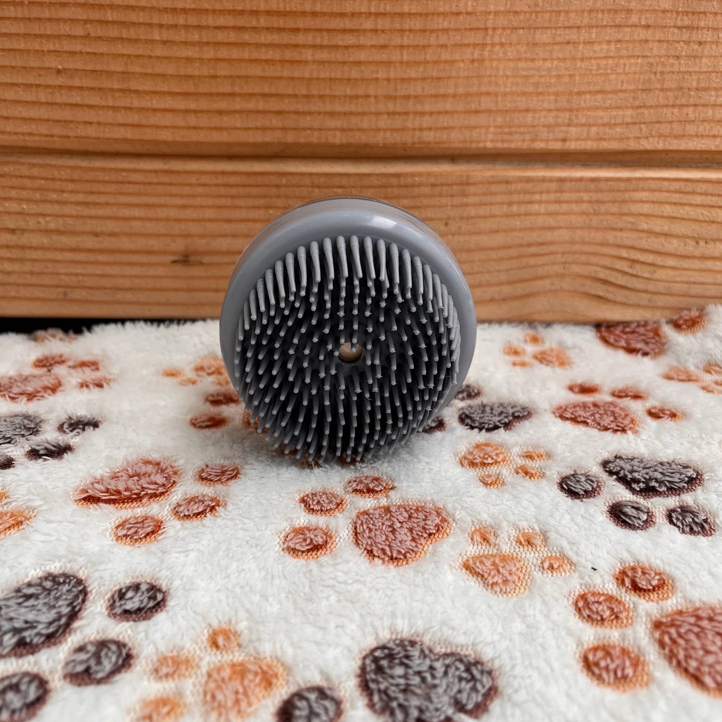 Brosse de bain