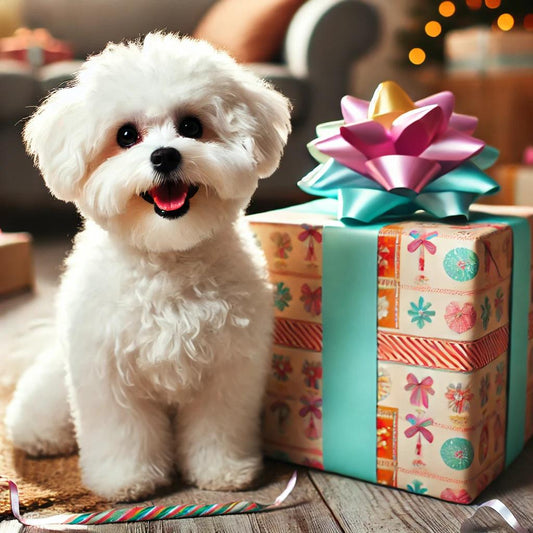 Carte Cadeau