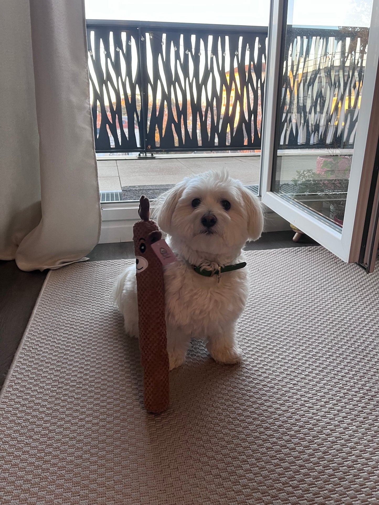 Jouet - Grand Renne de Noël